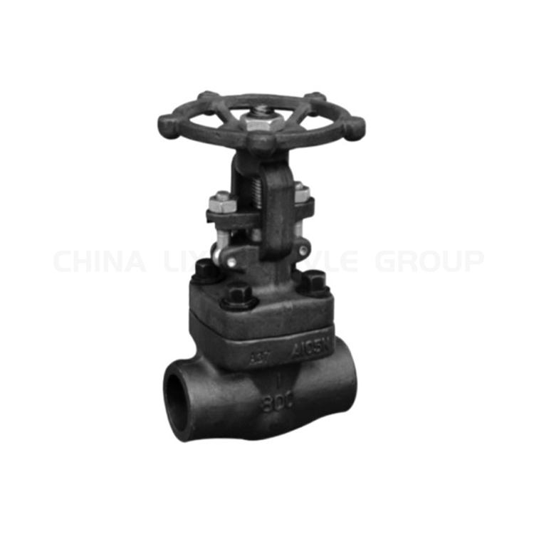 Forged Gate Valve