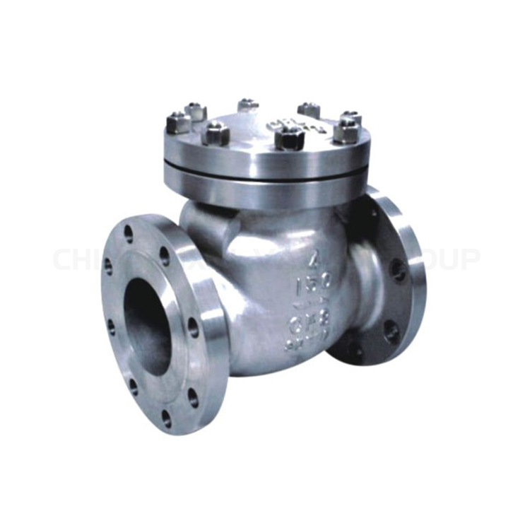 Swing Check Valve